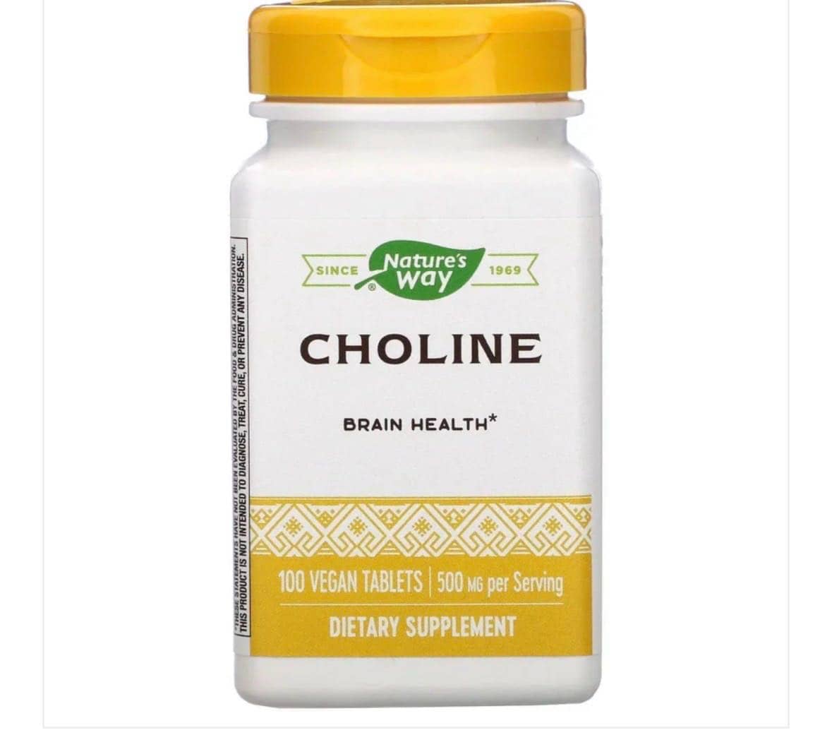 Nature's Way Choline 500 mg, 100 Vegan Tablets 1