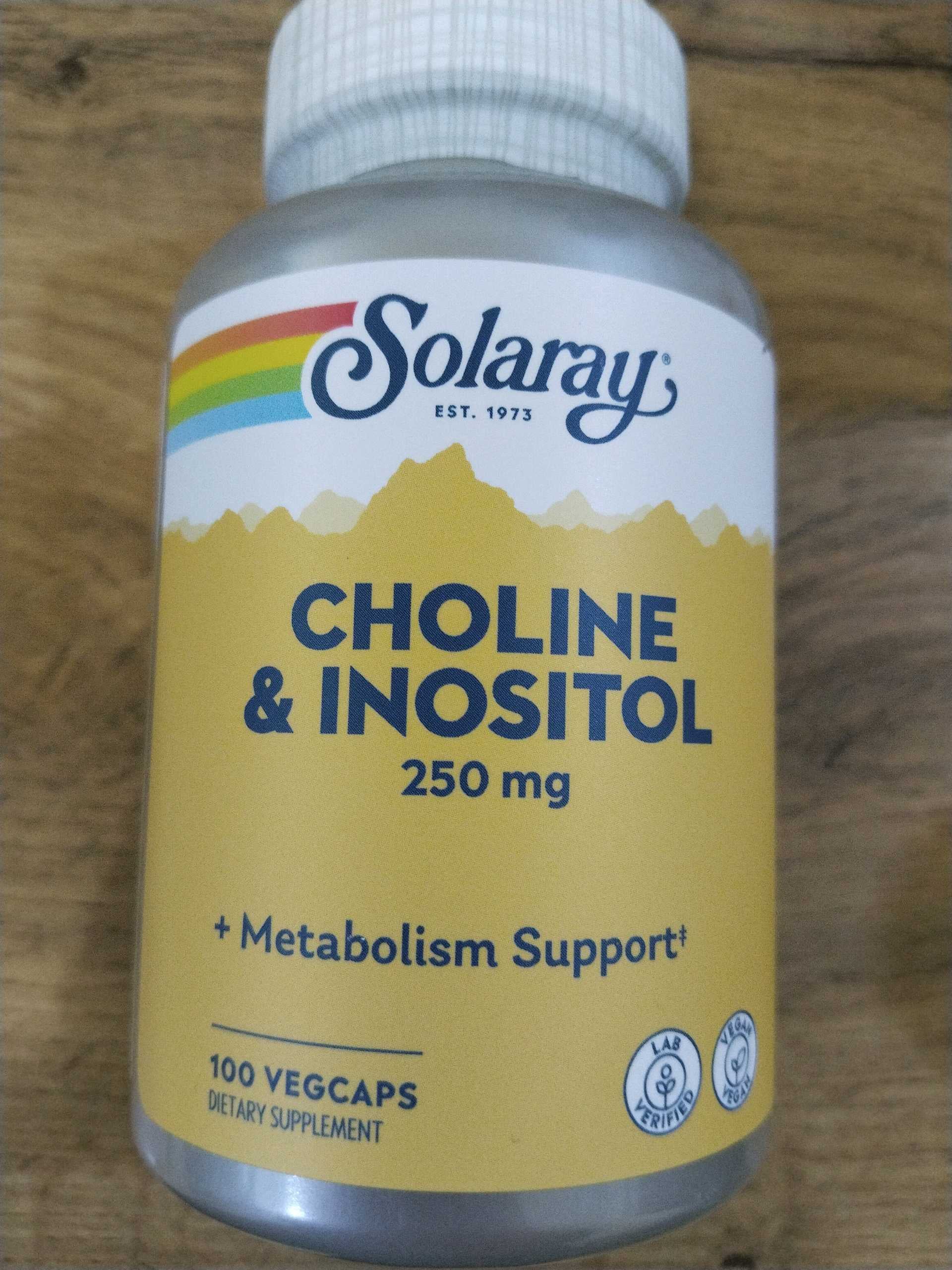 Solaray Choline & Inositol, 250 mg, 100 Vegetarian Capsules