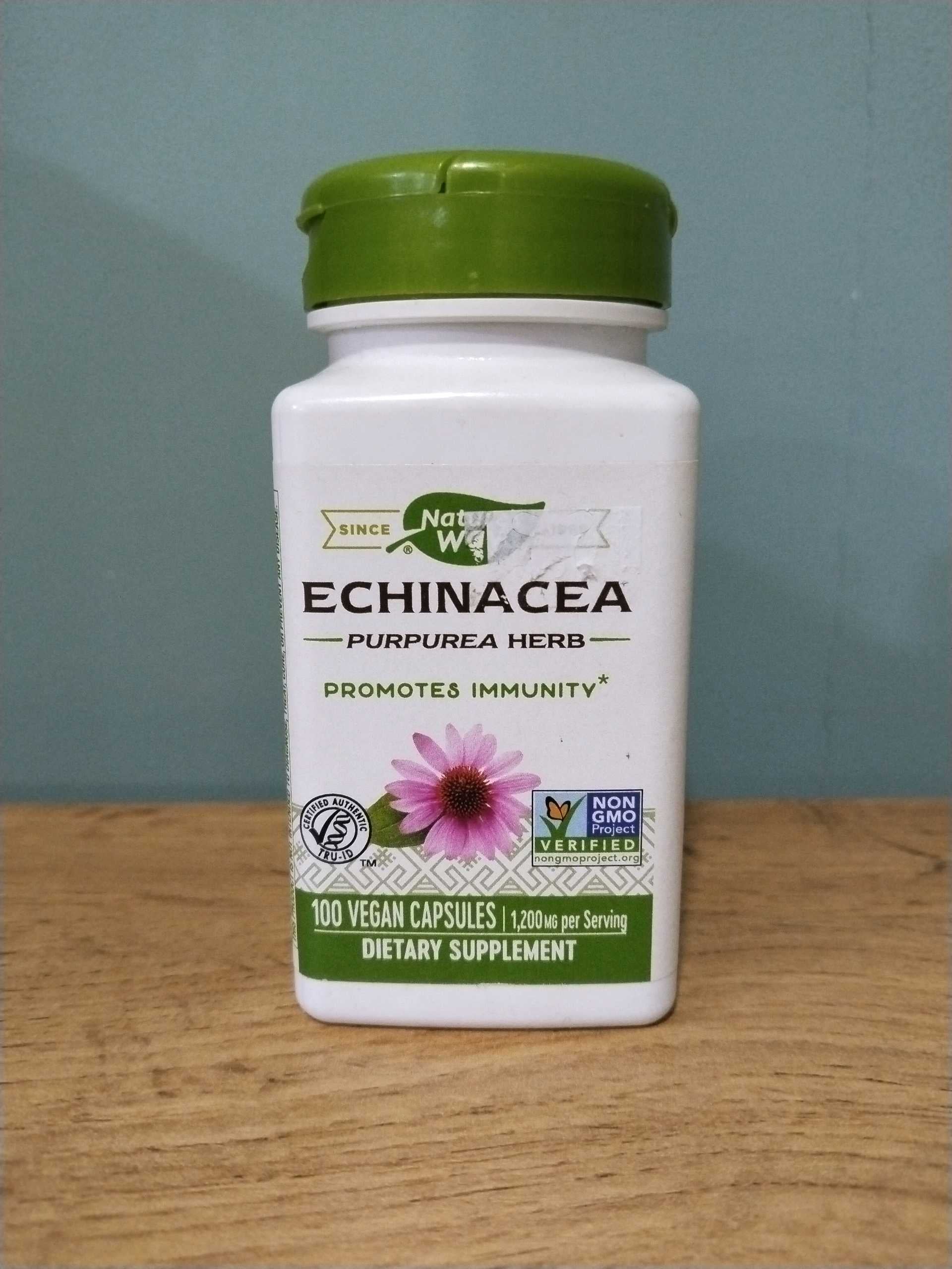 NATURES WAY ECHINACEA 100