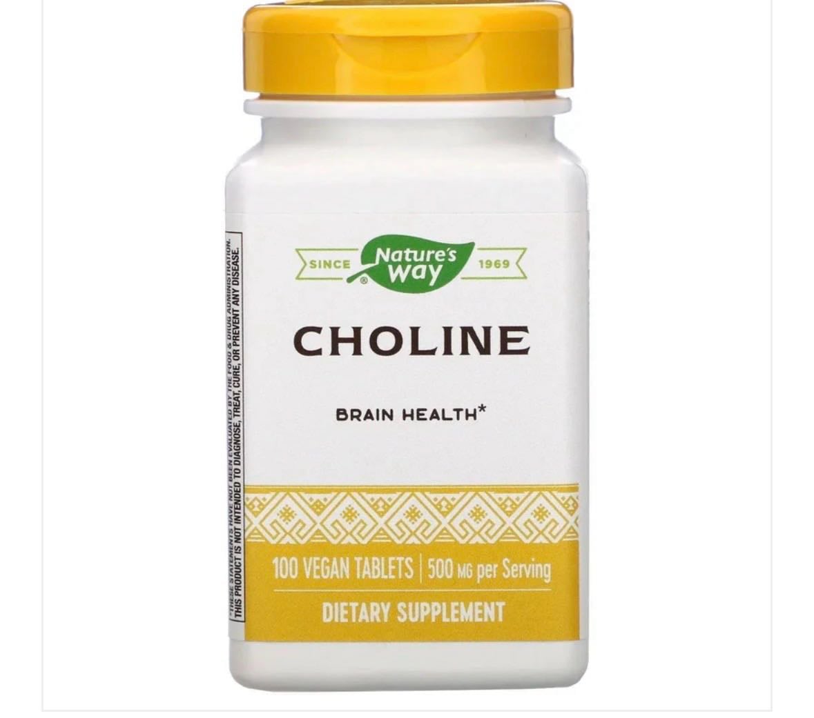 Nature's Way Choline 500 mg, 100 Vegan Tablets